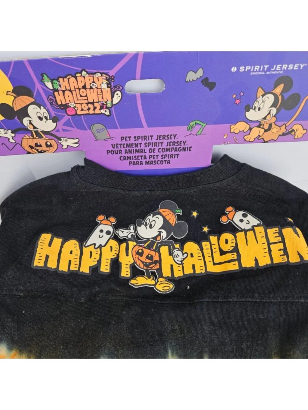 Disney pet spirit